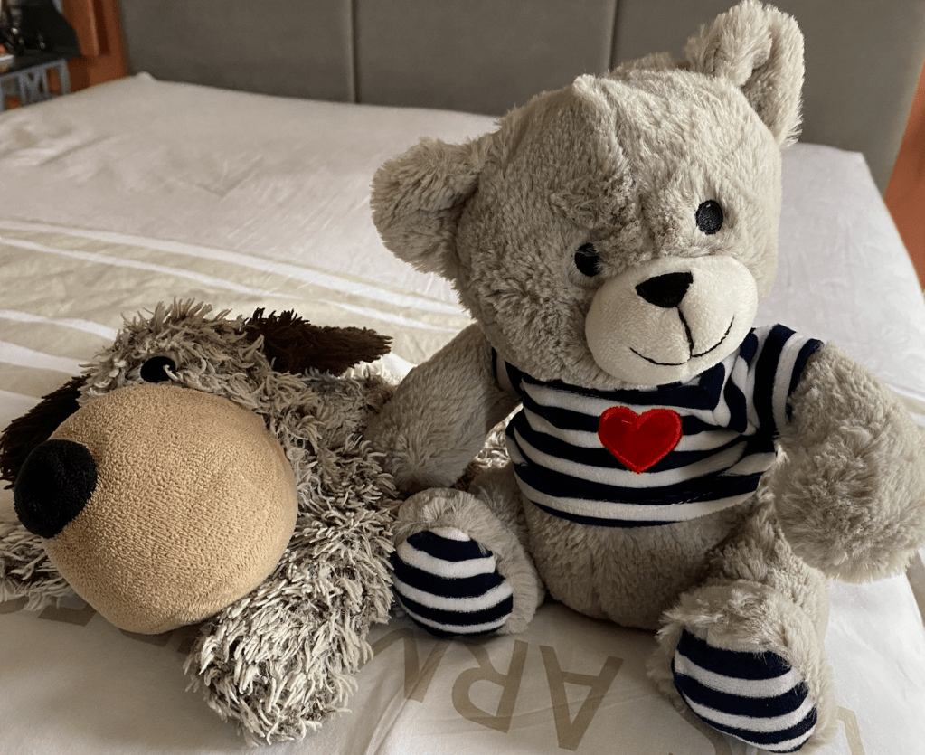 La plainte de Nounours 