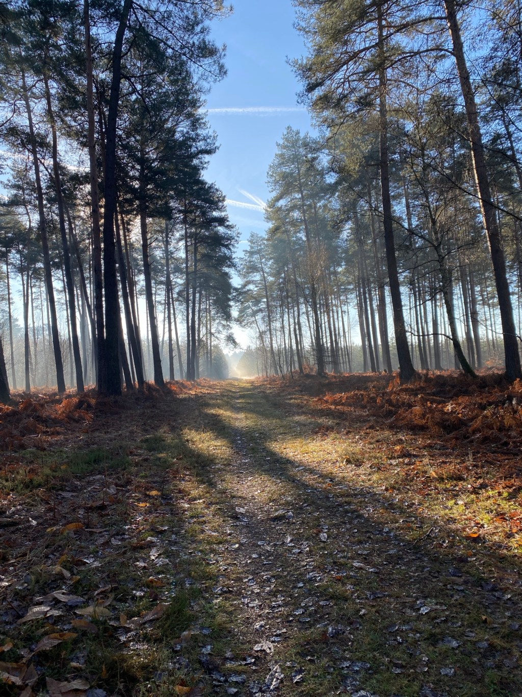 Le remède à&nbsp;l’oubli