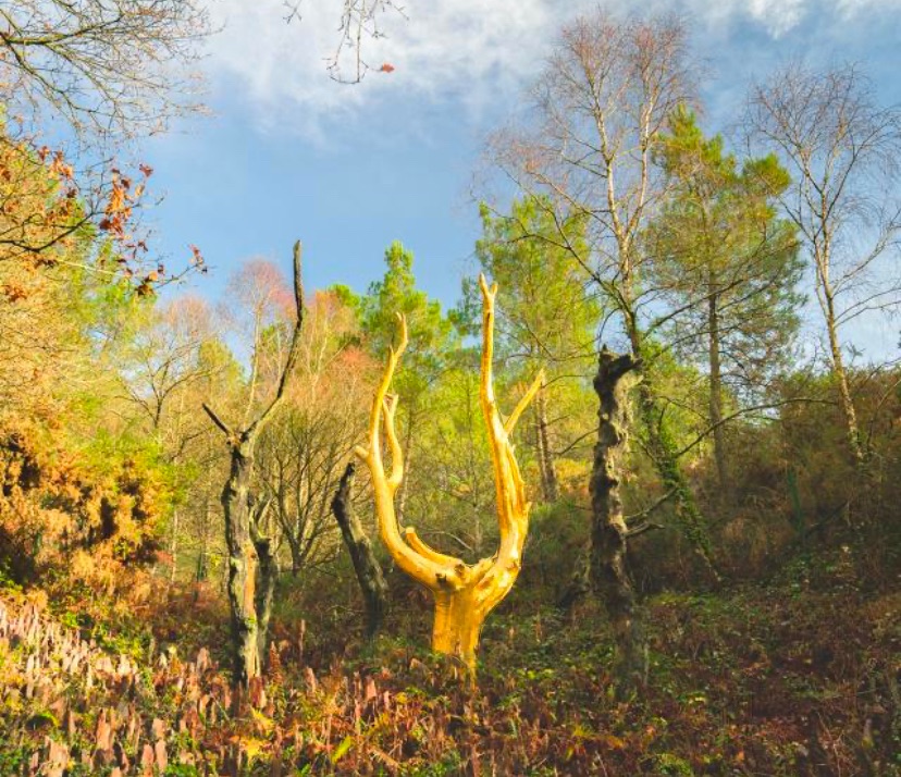 Les nouvelles spiritualités ou&nbsp;presque