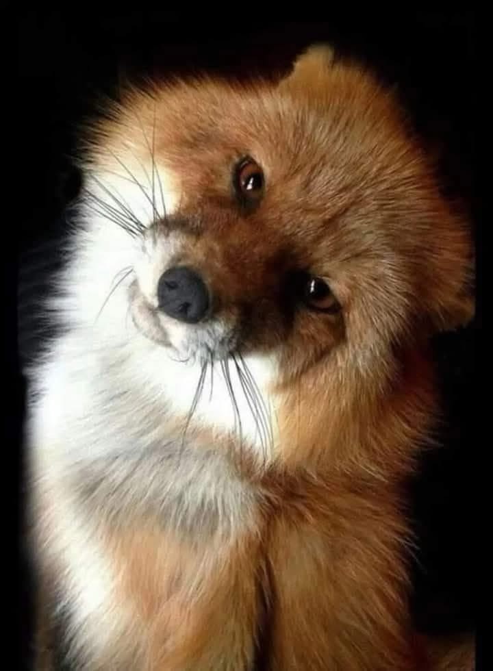 Cultiver son jardin&nbsp;candide