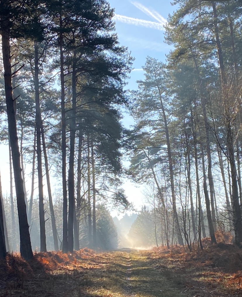 Dans tes yeux, la&nbsp;lumière